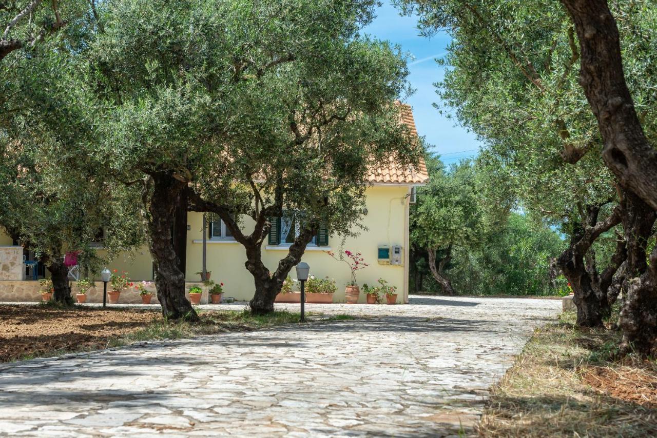 Olivegrove Villa - Nestled In Olive Trees With Private Pool, By Zantewize Tragaki Exterior photo