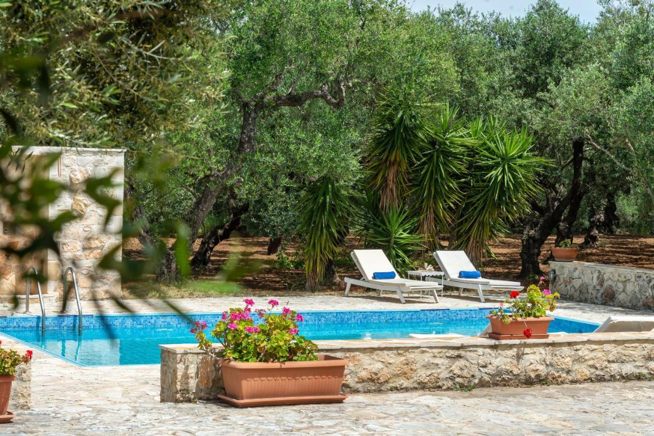 Olivegrove Villa - Nestled In Olive Trees With Private Pool, By Zantewize Tragaki Exterior photo