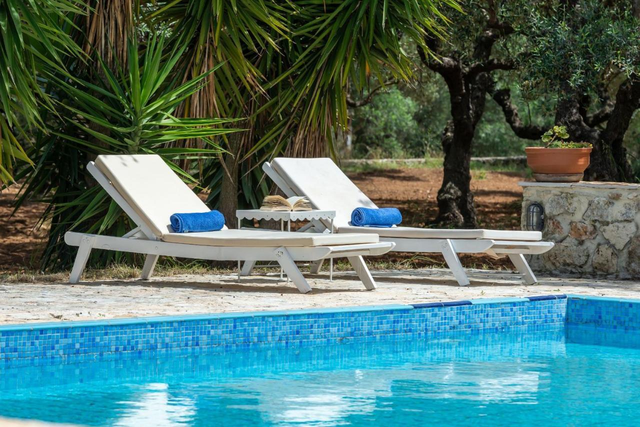 Olivegrove Villa - Nestled In Olive Trees With Private Pool, By Zantewize Tragaki Exterior photo