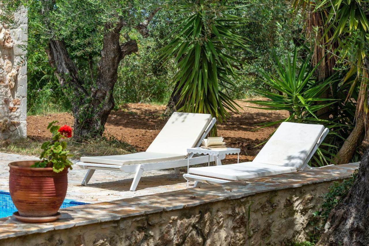 Olivegrove Villa - Nestled In Olive Trees With Private Pool, By Zantewize Tragaki Exterior photo