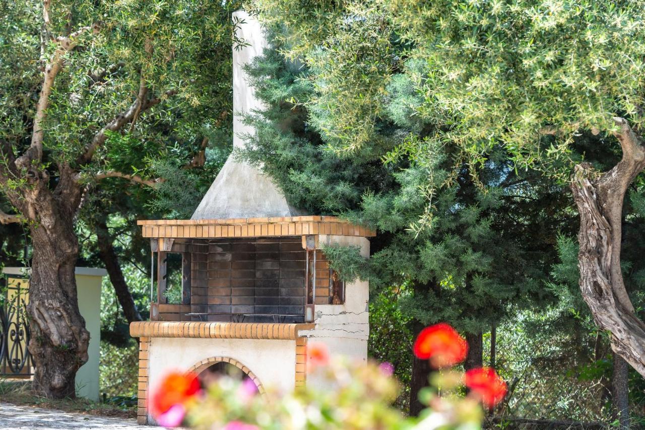 Olivegrove Villa - Nestled In Olive Trees With Private Pool, By Zantewize Tragaki Exterior photo
